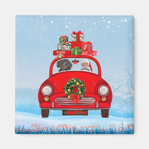 Dachshund Dog In Car With Santa Claus Magnet