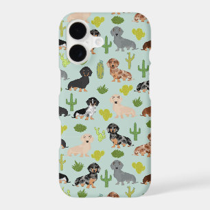 Dachshund dog mint cactus