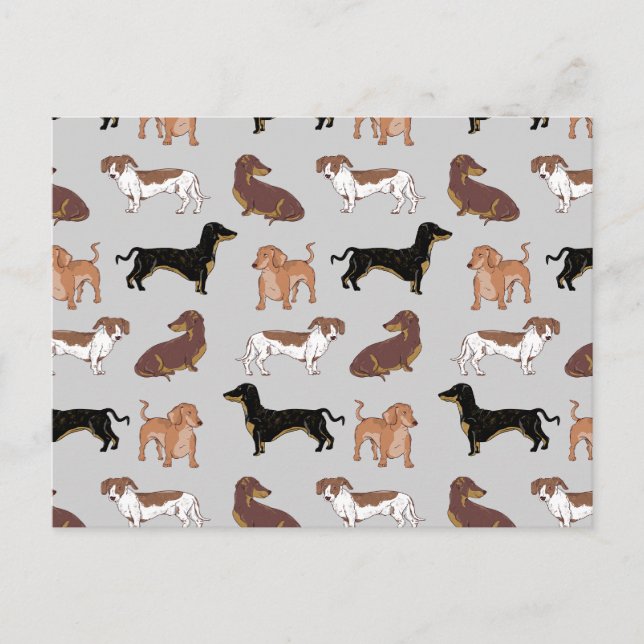 Dachshund dog pattern postcard (Front)
