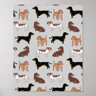 Dachshund dog pattern poster