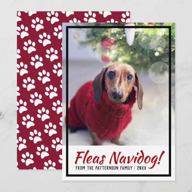 Dachshund Dog Photo Paw Print Christmas Pet Holiday Card (Front/Back)
