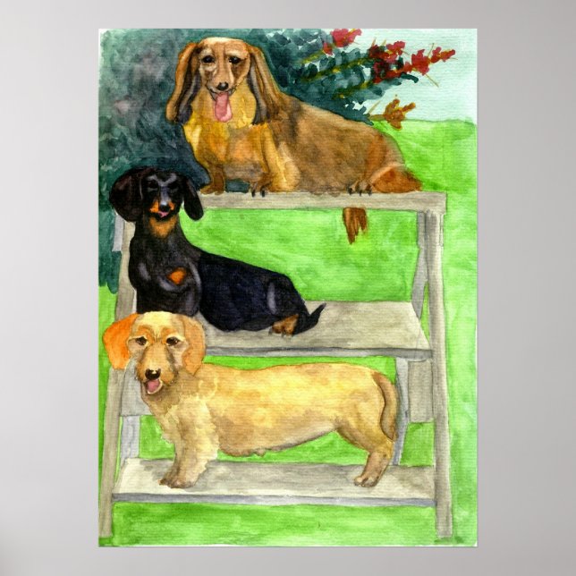 Dachshund Dog Portrait Poster (Front)