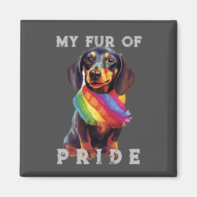 Dachshund Dog Rainbow Funny My Fur Pride Magnet (Front)