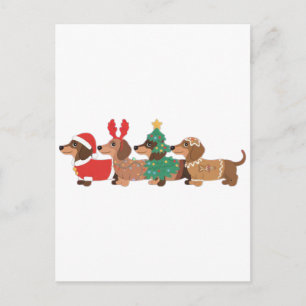 Dachshund Dog Wearing Christmas Dog Lovers Postcard