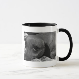 Dachshund Dog with Sad Eyes in Black and White Mug