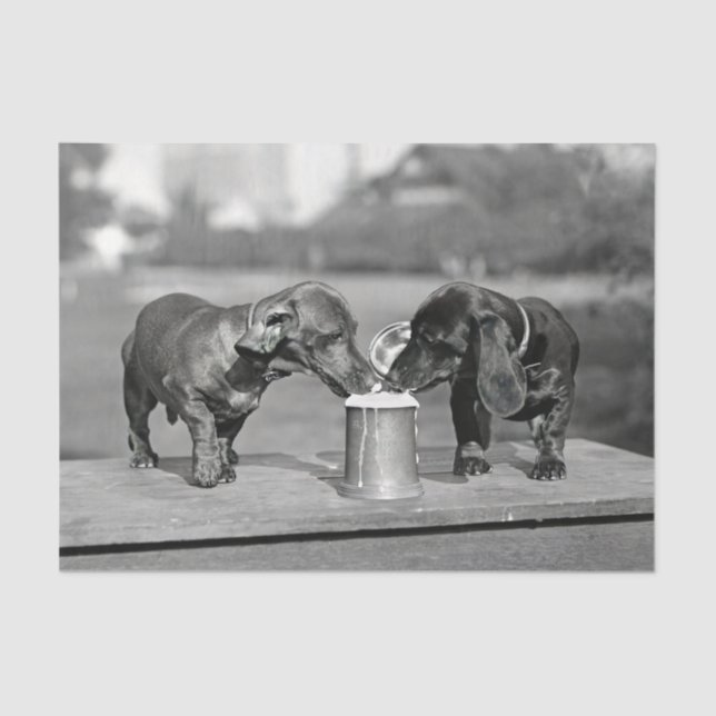 Dachshund Dogs Drinking Beer Tissue Paper (Front)