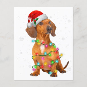 Dachshund Dogs Tree Christmas Sweater Xmas Gifts P Flyer