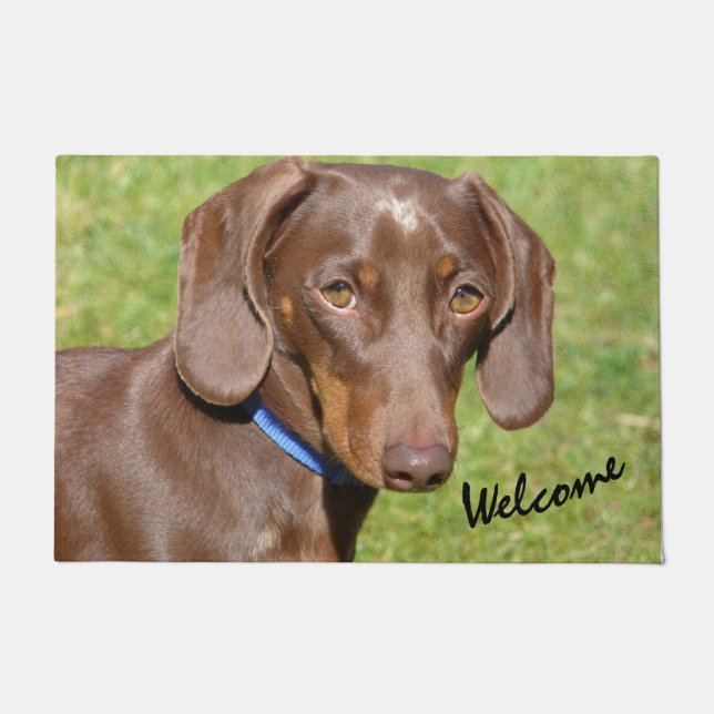 Dachshund doormat (Front)