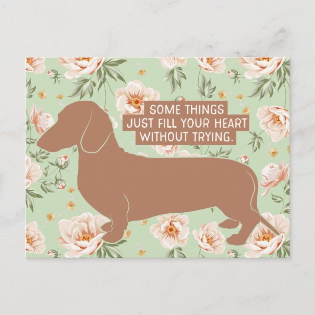 Dachshund Doxie Teckel Lover Illustration Quote Postcard (Front)