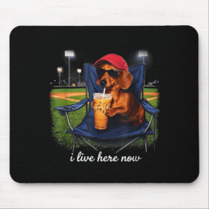 Dachshund drink iced coffee baseball field live mouse pad