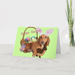 Dachshund Easter Cards