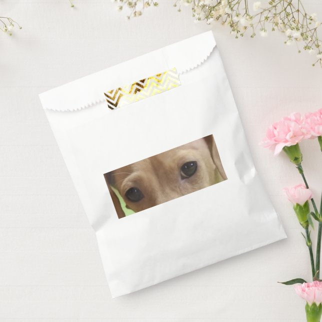 Dachshund Eyes Cream Favour Bags (Sealed)
