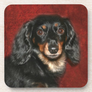 Dachshund face coaster