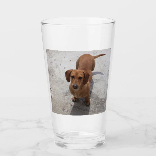 dachshund full glass (Front)