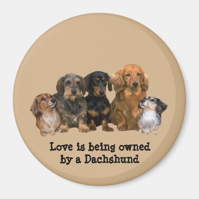 Dachshund Gang Magnet (Front)