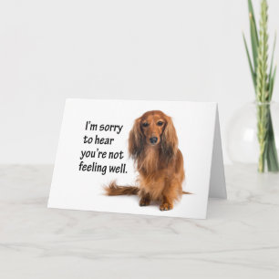 Dachshund Get Well Card