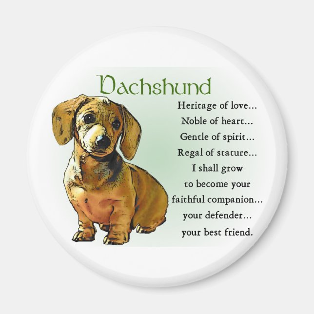 Dachshund Gifts Magnet (Front)