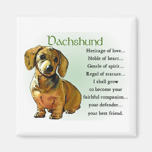 Dachshund Gifts Magnet