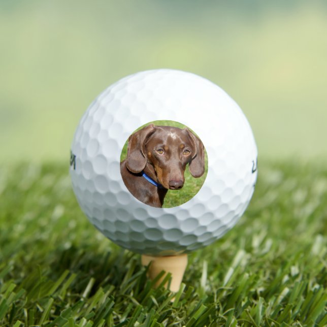 Dachshund Golf Balls (Insitu Tee)