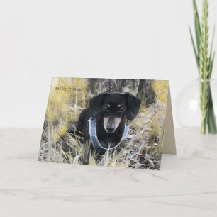 Dachshund Greeting Card
