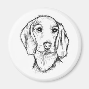 dachshund hand drawn sketch black white puppy dog magnet