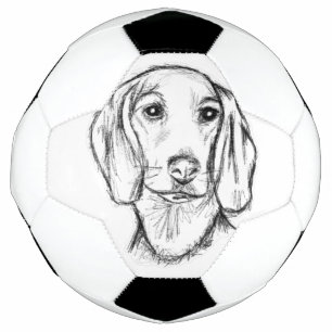 dachshund hand drawn sketch black white puppy dog soccer ball