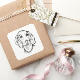 dachshund hand drawn sketch black white puppy dog  square sticker
