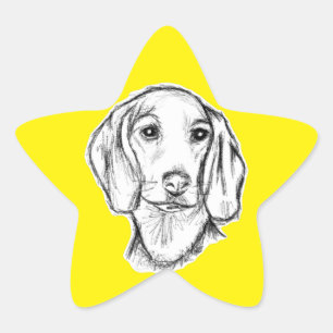 dachshund hand drawn sketch black white puppy dog star sticker