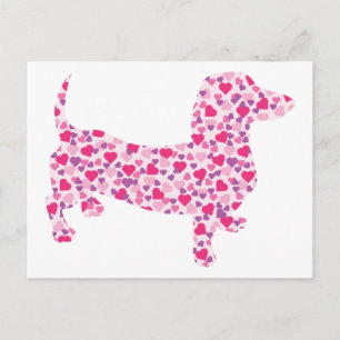 Dachshund Hearts Postcard