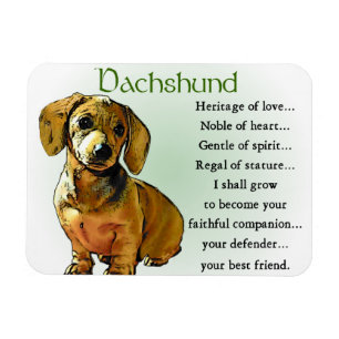 Dachshund Heritage of Love Magnet
