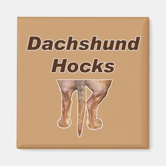 Dachshund Hocks magnet