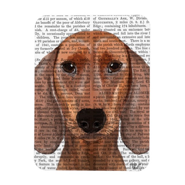 Dachshund Illustration Plain Magnet (Vertical)