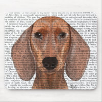 Dachshund Illustration Plain