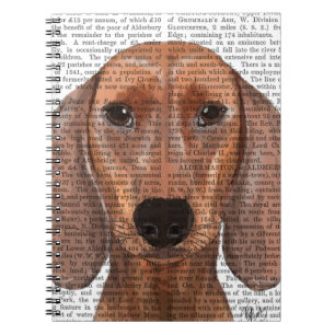 Dachshund Illustration Plain Spiral Notebook