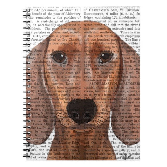 Dachshund Illustration Plain Spiral Notebook (Front)