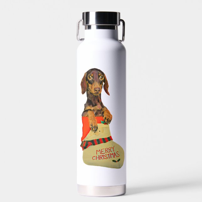 Dachshund in a Santa Claus Christmas stocking Water Bottle (Front)