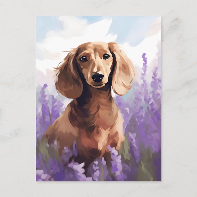 Dachshund in Lavender field Postcard (Front)