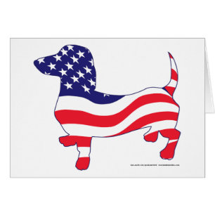 Dachshund in the American Flag