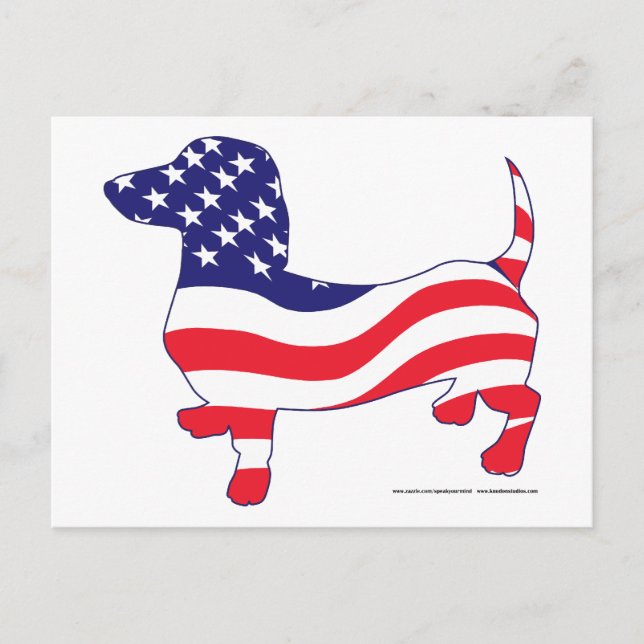 Dachshund in the American Flag Postcard (Front)
