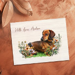 Dachshund in Wildflowers Hello From Postcard<br><div class="desc">Dachshund dog lover postcard with custom text on the front.  Send a note that begins with,  "Hello from .. name" in brown script.  Continue your message on the back with your own handwriting.  Light brown wood boards background,  with a sweet brown dachshund pup lying among the wildflowers.</div>