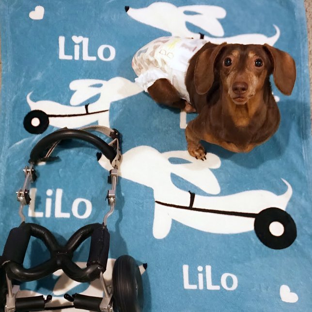 Dachshund IVDD Wheelchair for Wheelie Doxies Fleece Blanket (Wheelie dachshund gift - cozy personalized wheelchair cart blanket)