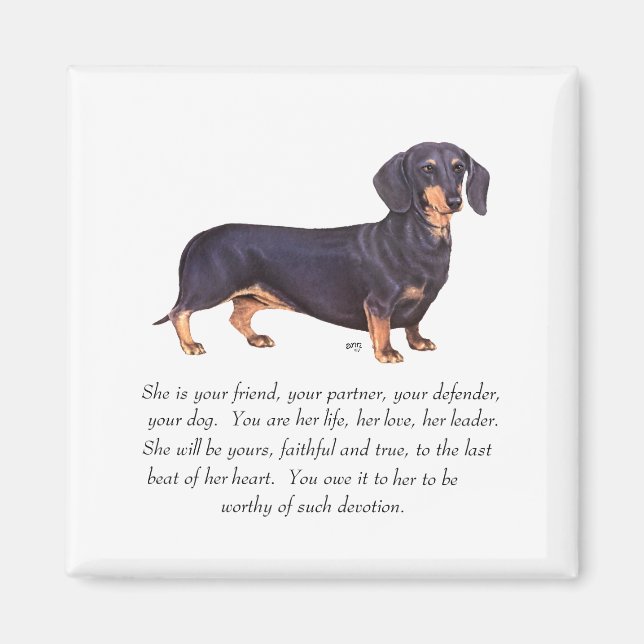 Dachshund Keepsake - Female Magnet (Front)