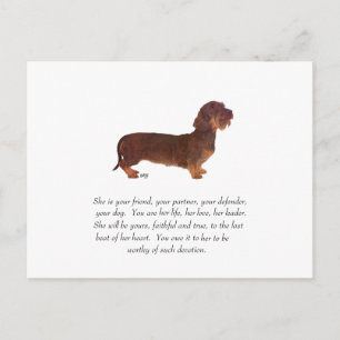 Dachshund Keepsake - Female Postcard