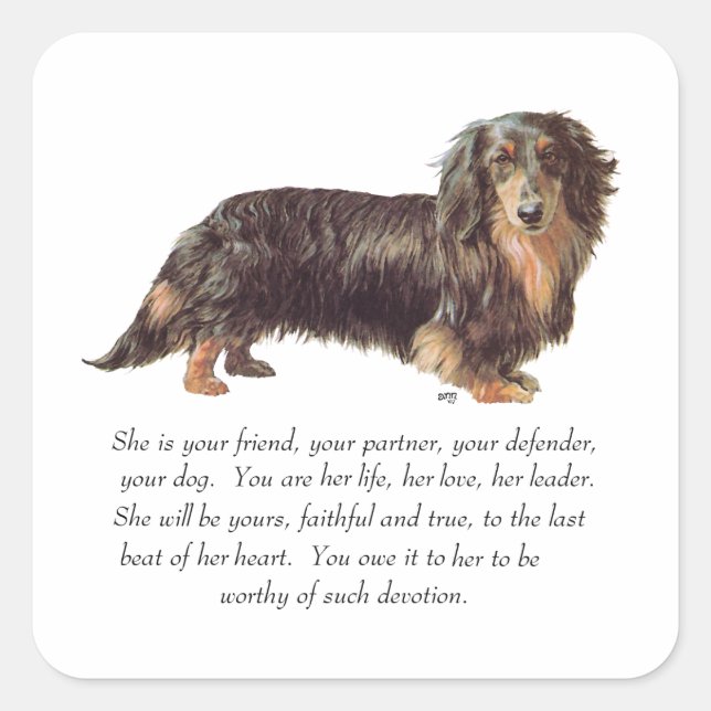 Dachshund Keepsake - Female Square Sticker (Front)