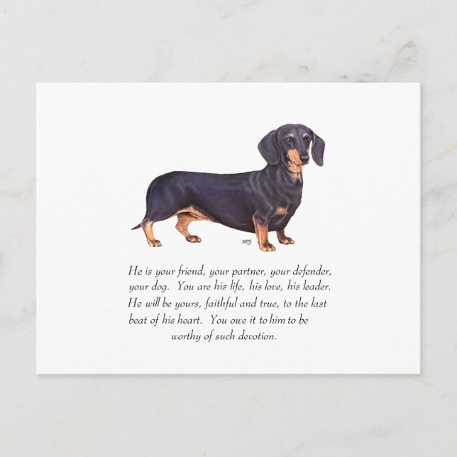 Dachshund Keepsake - Male Postcard (Front)