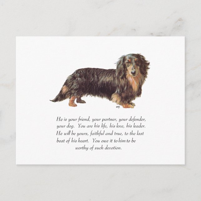 Dachshund Keepsake - Male Postcard (Front)