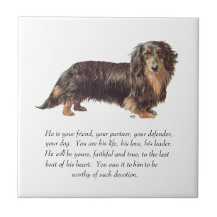 Dachshund Keepsake - Male Tile