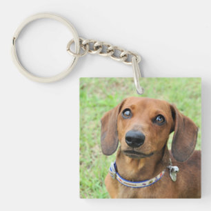 Dachshund  key ring
