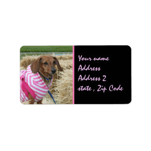 Dachshund Label