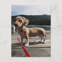Dachshund Life Is Better With A Dachshund Birthday